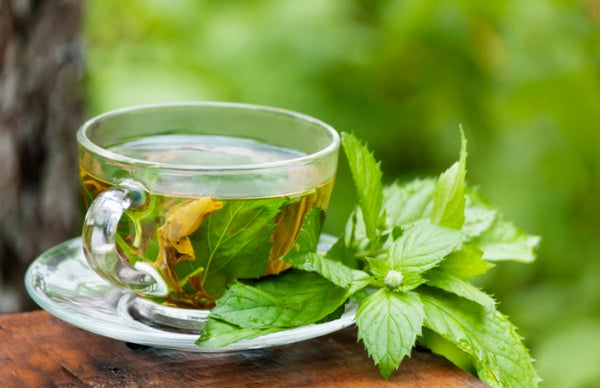 Baja de peso y más beneficios del té verde